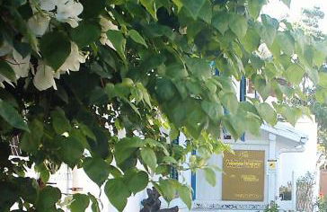 Case Vacanze Levante - Foto 49