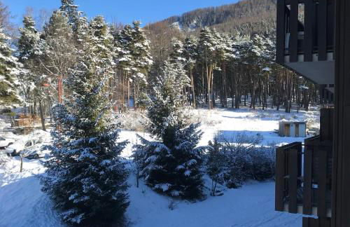 Appartement Cosy et Chaleureux - Foto 13