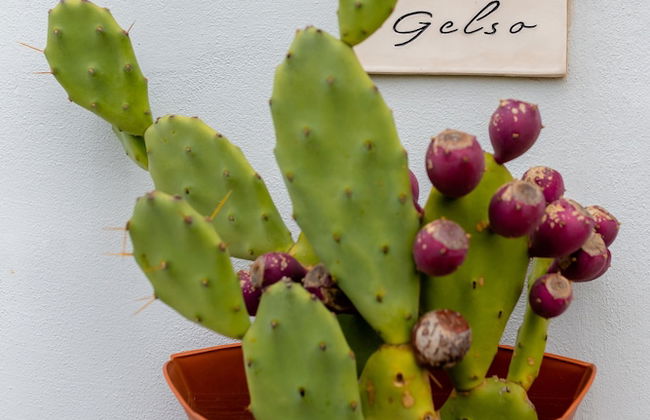 Borgo Tortorella - Casa Gelso - Foto 18