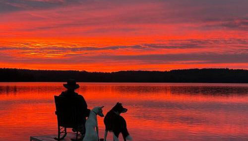 Island Tent Overlook in Maine - Foto 5
