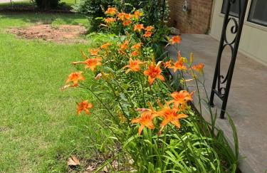 The Sunshine House - Foto 12