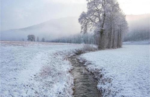 Wohnung in Densberg Nahe Kellerwald - Foto 78