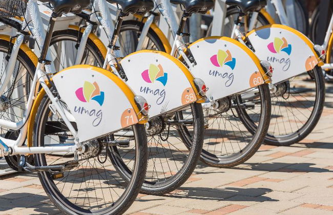 Istrian Villas Plava Laguna - Foto 71