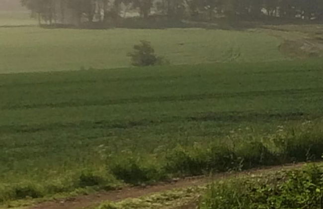 Swedish Idyll - Foto 28