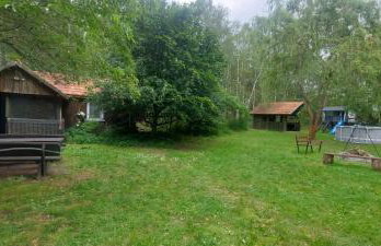 Dom Pod Brzozami Lipinki Bory Tucholskie basen - psy, koty mile widziane! - Photo 4