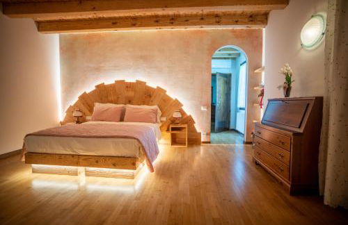 GATTO IN VIGNA - Foto 24