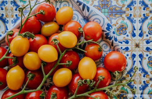 Il Giardino dei limoni - Foto 18