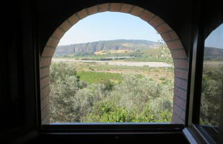 Fattoria Armonia - Foto 17