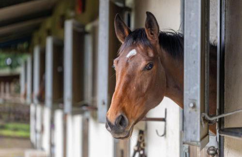 Sun Hill Palins - Photo 15