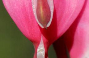 Modern Cottage with Peeks of Ocean Views - Foto 47