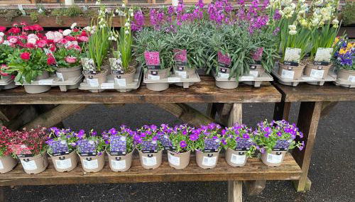 Coorie Doon Cabin! Great Scottish Welcome - Foto 4