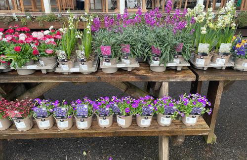 Coorie Doon Cabin! Great Scottish Welcome - Photo 4