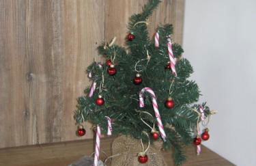 Ferienwohnung Storchennüst - Foto 39