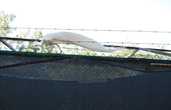 Vivienda Rural el Retorno - Foto 39