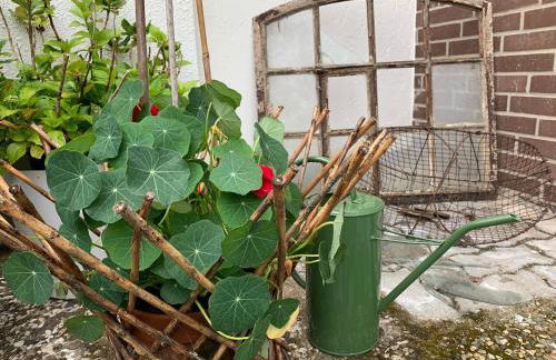 Ferienhaus Dornröschen - Foto 27