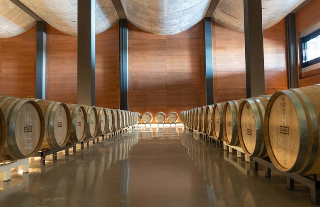 Visita a las bodegas Habla - Foto 2