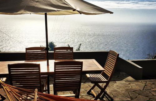 Casa da Ovelha I Madeira - Foto 4