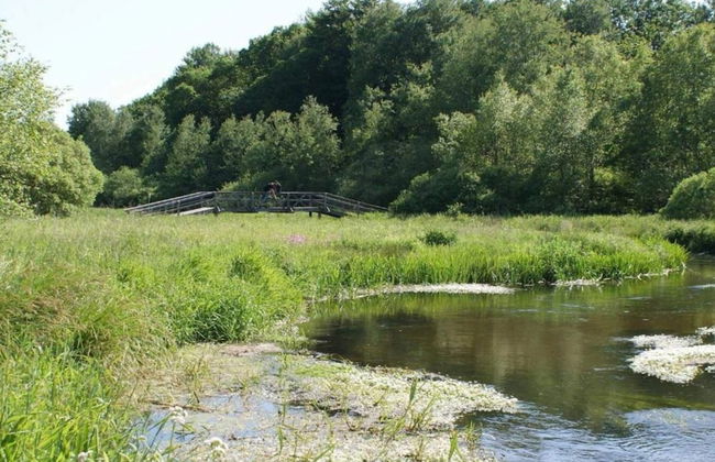 5 Star Holiday Home in Hovborg - Foto 35