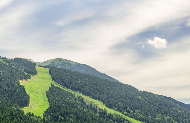 Apartamentos Prat De Les Molleres - Photo 1