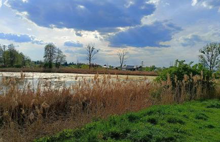 MODERN APARTAMENT Walendów - Foto 9