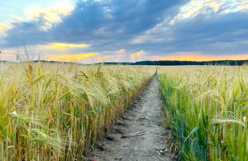 Ruhe Oase Steinhöfel - Balkon, Naturblick, Design-Maisonette-Apartment - nahe Fürstenwalde-Spree - Foto 33