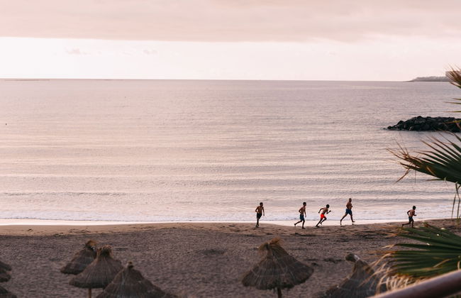 Ona Palm Beach - Foto 73