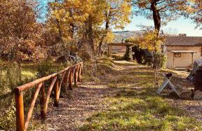 Antica Fiera - Foto 12