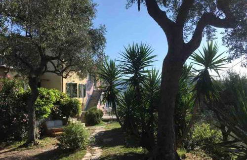 Les Oliviers - Foto 18