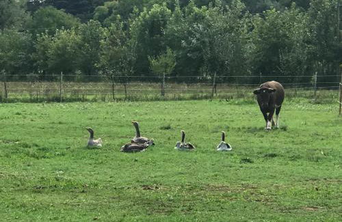 Agriturismo La Montina - Foto 31