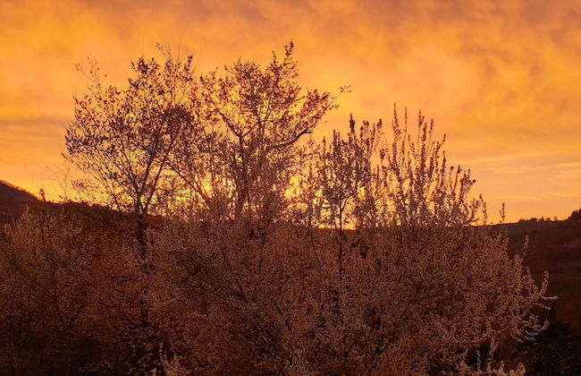 Agriturismo Ben Ti Voglio - Foto 33