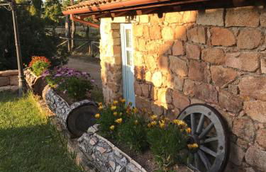 Agriturismo Is Conchisceddas - Foto 61