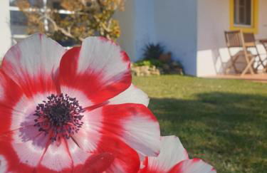 Sondela Self Catering - Foto 70