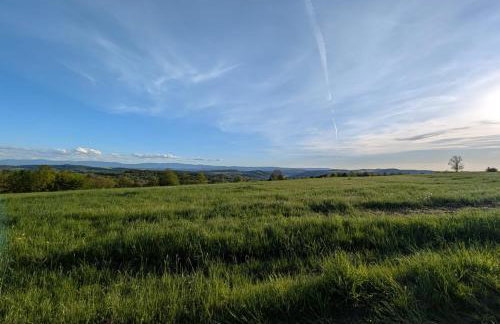 Michałówka Michaelhof - Foto 56