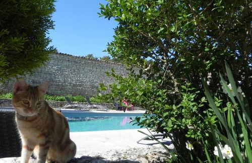 VILLA DEL Ré 10 - Foto 11