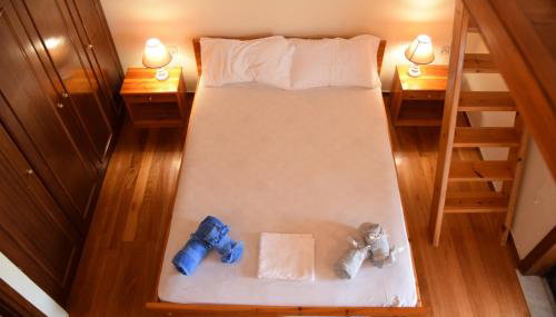 Villa Kontos - Photo 3