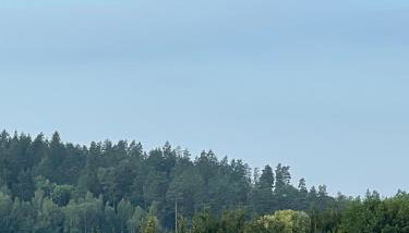 Ukoya Mazury - Foto 5