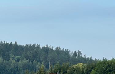 Ukoya Mazury - Foto 5