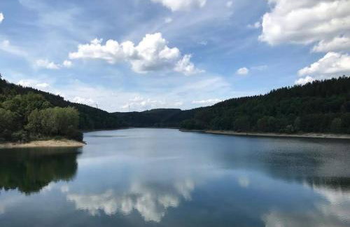 Naturnah in Hellenthal - Photo 21