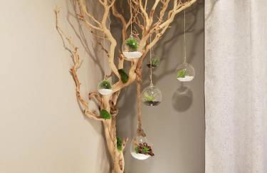 The Hideaway - Foto 6