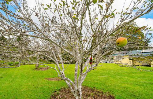 7 Mi to Volcanoes NP Serene Cottage with Deck! - Photo 22
