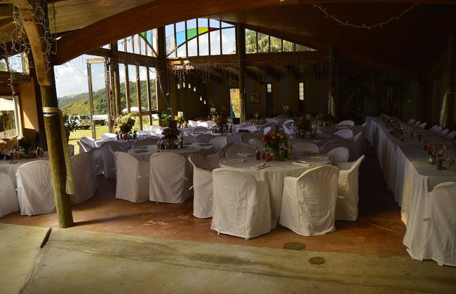 Bethells Beach Cottages - Foto 12