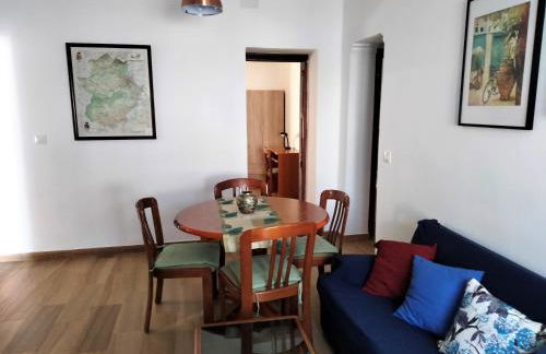 Apartamento Ceclavín - Foto 14