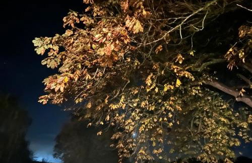 Four Seasons Cottage - in the Cotswolds - Foto 41