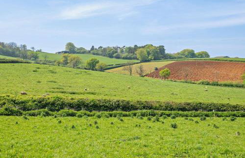 1 Bed in Stoke Abbott 94405 - Foto 22