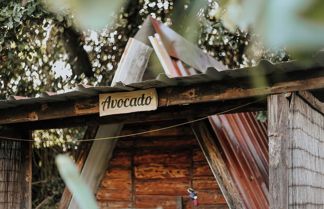 Banana Eco Camp - Foto 26