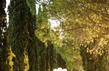 Tenuta San Vito In Fior Di Selva - Foto 29