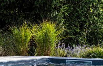 Charme & Sens Avec Jacuzzi intérieur - Foto 21