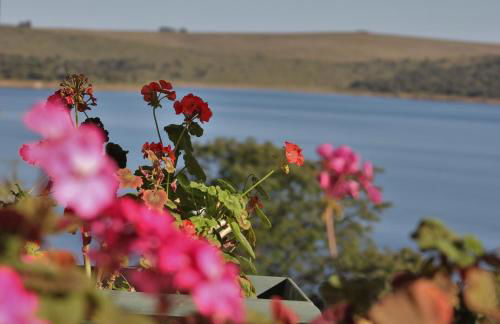Apartamentos Embalse de Orellana - Foto 43
