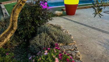 Le Petit Valexiane Piscine & Jardin - Foto 2