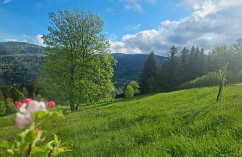 Ventron Chalet with Hill Views - Foto 37